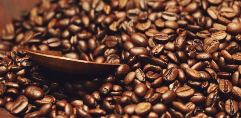 caffe arabica e robusta differenza, meglio arabica o robusta